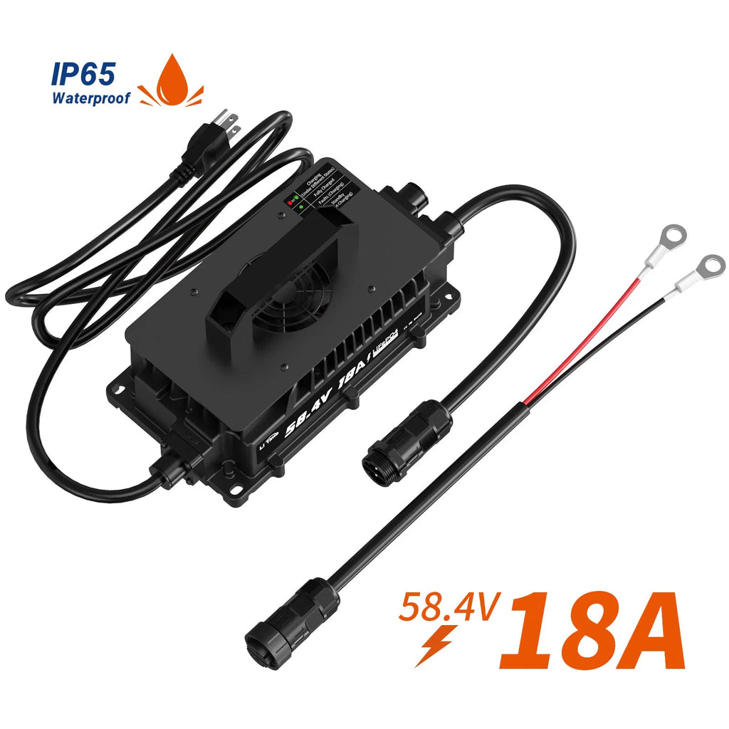 LiTime 51.2V 100Ah Lithium Golf Cart Battery Kit